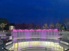 -深圳湾万象城(南山店)