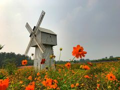 -北京东方普罗旺斯薰衣草庄园