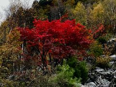 -叠溪松坪沟景区