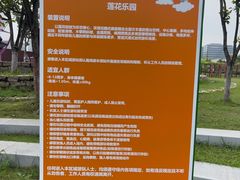 -春花秋色城市公园
