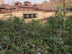 -重庆彩云湖湿地公园