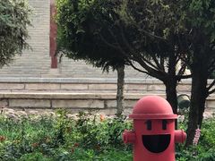 -张掖大佛寺景区