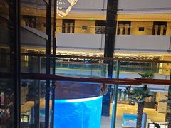 -OPEN開全日自助餐厅·牛肉火锅·海鲜(佛山希尔顿酒店)