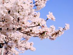 -龙美术馆(西岸馆)