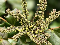 -上海吴淞炮台湾国家湿地公园