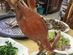 -海岛渔村大酒店(云霄路店)
