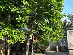-王家大院