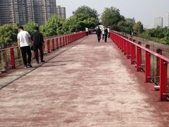 -青枫公园