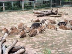 -柳州市动物园