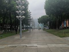 -重庆市江北嘴中央商务区中央公园