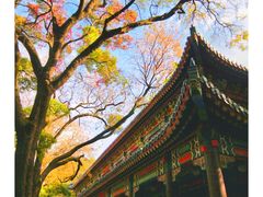-灵谷景区