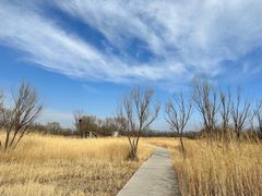 -野鸭湖国家湿地公园