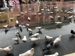 -王府井奥莱临潼小镇(临潼店)