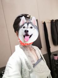 -盘子女人坊古装写真摄影(天津总店)