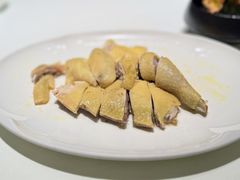 -侨美·唐荔园·40年地道粤菜