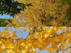 -福州大学(旗山校区)