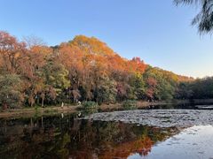-WeLope紫金山探险公园