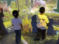 -陕西自然博物馆