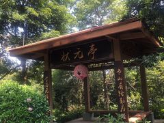 -广州市流溪河国家森林公园
