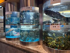 -老船舫·现做活鲜鱼馆(东郊记忆店)