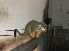 -西安秦岭野生动物园