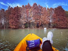 -上海海湾国家森林公园