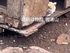 -昆明动物园