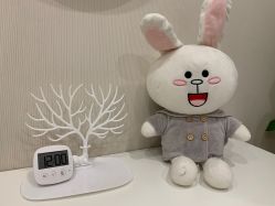 -贞禾医美·连锁