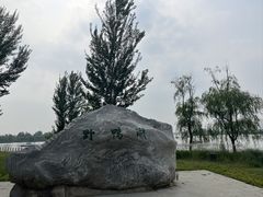 -野鸭湖国家湿地公园