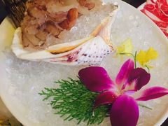 -鼎王麻辣锅(七贤店)