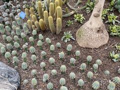 -南山植物园