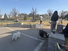 -小意思咖啡店(草桥店)