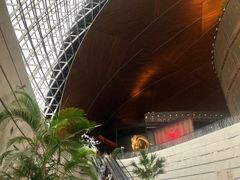 游乐设施-国家大剧院