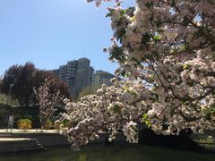 -元大都城垣遗址公园
