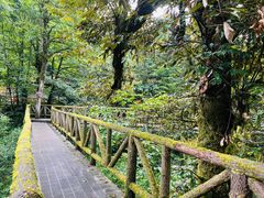 -龙苍沟森林公园