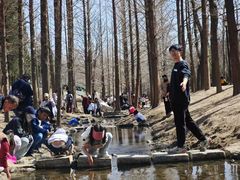 -白水寺森林公园