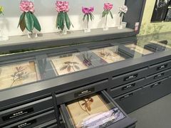 -四川大学博物馆