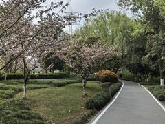 -杭州半山国家森林公园