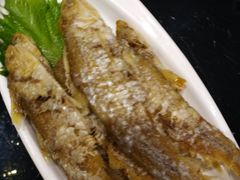 -丰收日(五角场店)