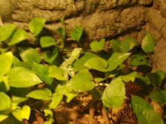 android_upload_pic-上海大自然野生昆虫馆