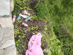 -木兰云雾山