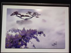 -罗红摄影艺术馆