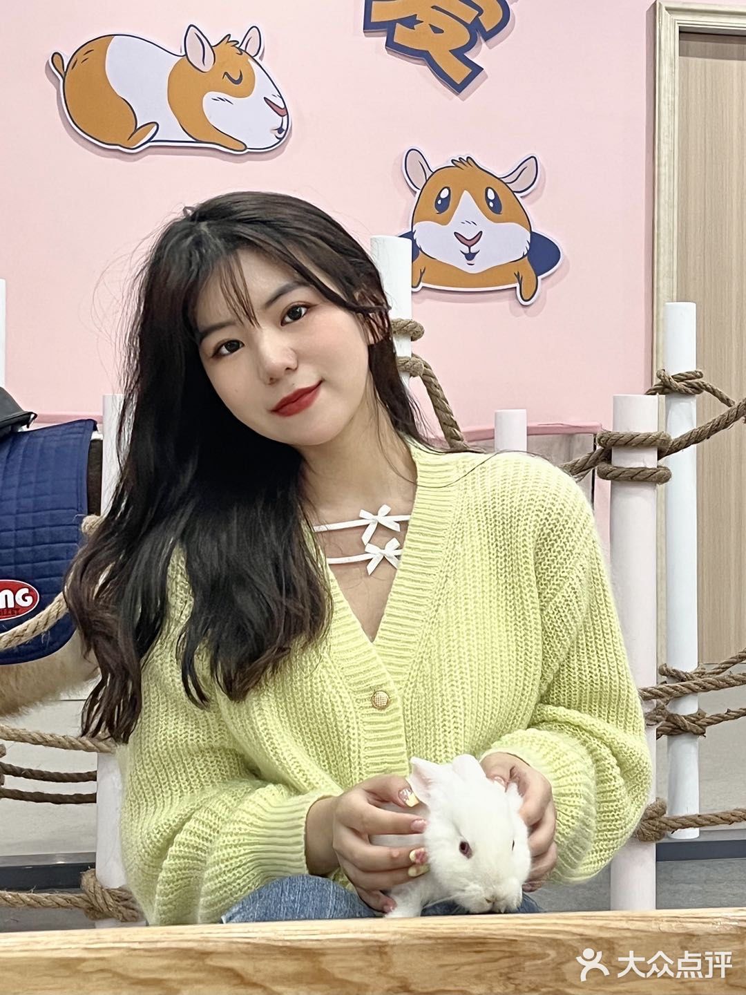 杭州探店｜超好拍的萌宠馆，一起来撸宠物了