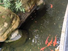 -上海浦东星河湾酒店