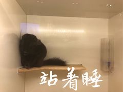 -龙猫仔乐园(惠福东路店)