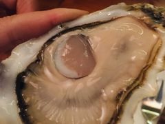 -普朗姆生蚝吧(原建国路店)
