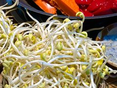 -阳阳老火锅(小南门店)