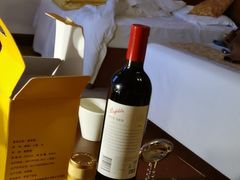 -深圳东部华侨城茵特拉根酒店