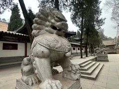 -兴教寺