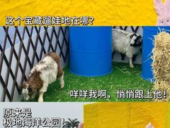 -海合安天津极地海洋公园